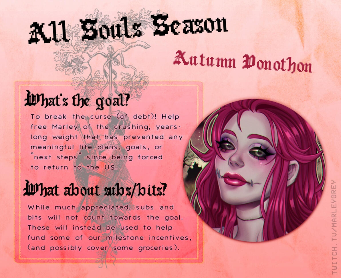 Similar graphic to the above but the colors are more pink than orange. It describes the goal of the donothon and what subs and bits will do since they don't count towards the goal. Art featured is by Glor The Star.